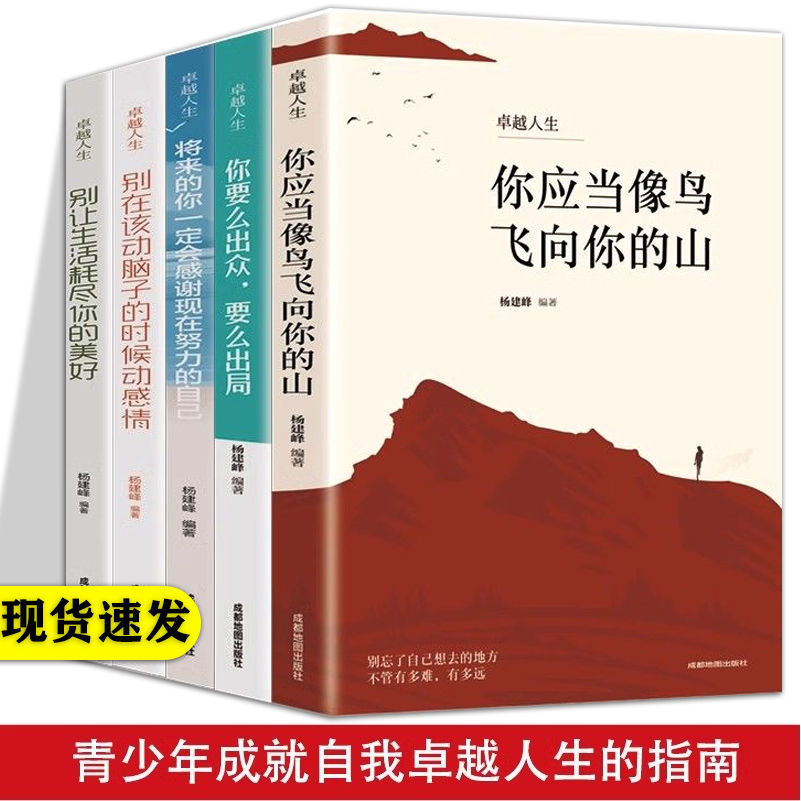 卓越人生全5册你应当像鸟儿飞向你的山你要么出众要么出局