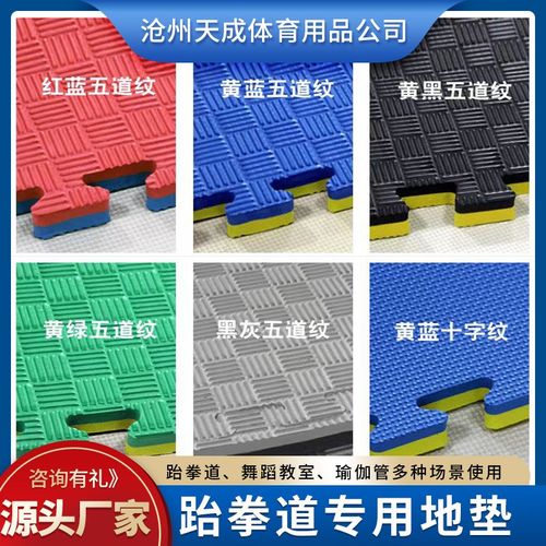 EVA跆拳道垫子舞蹈训练垫专业武术散打地垫儿童爬爬垫拼接泡沫垫
