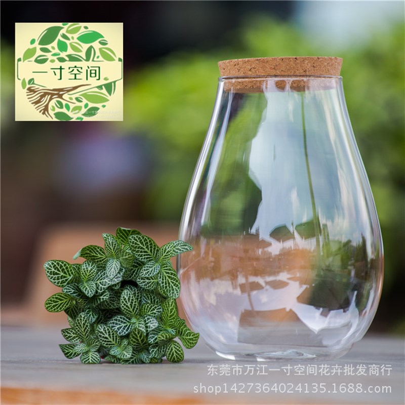 苔藓微景观  七彩带灯玻璃瓶 彩灯木塞生态瓶 水滴瓶