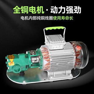 wcb齿轮泵不锈钢齿轮泵大流量耐高温齿轮泵高粘度小型齿轮泵总成