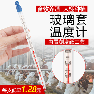 内标玻璃套红水温度计大棚专用种植养殖工业温度表家用室外养殖场