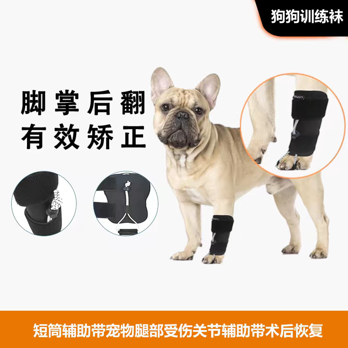 狗狗短筒术后矫正辅助带脚掌后翻