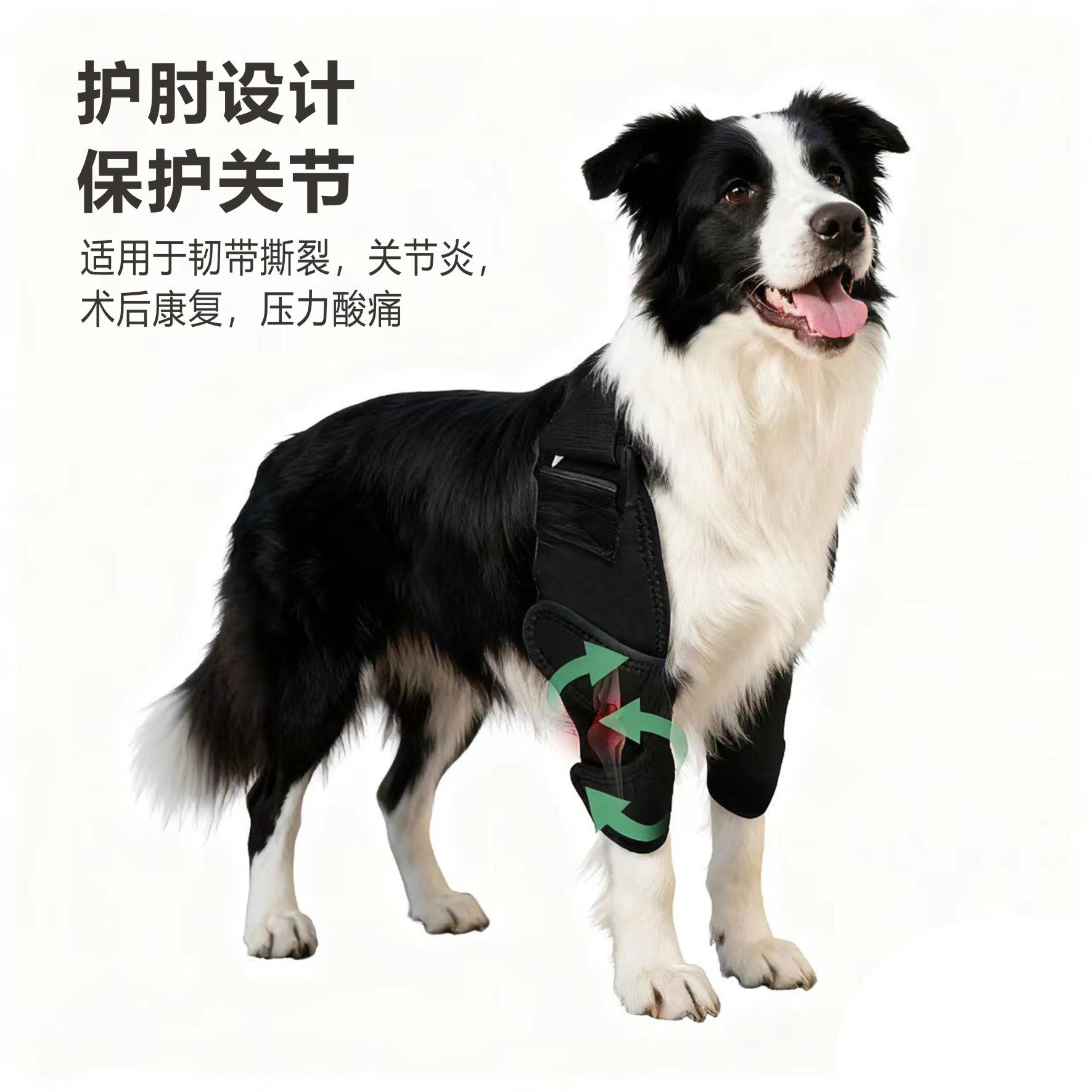 宠物护具狗狗护肘受伤辅助护膝术后康复带支撑腿部关节缓解疼痛