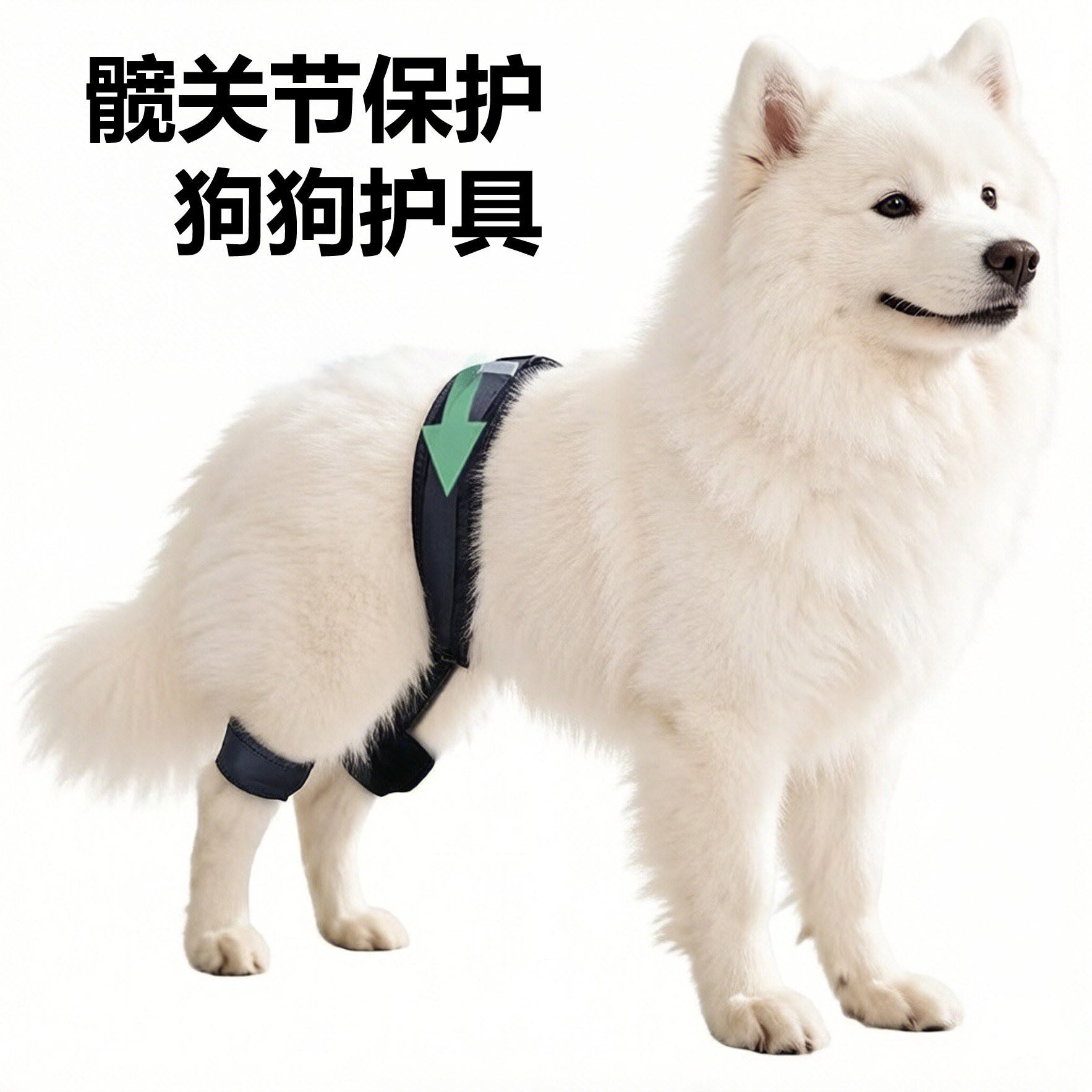 宠物狗髋关节矫正带支撑带止痛