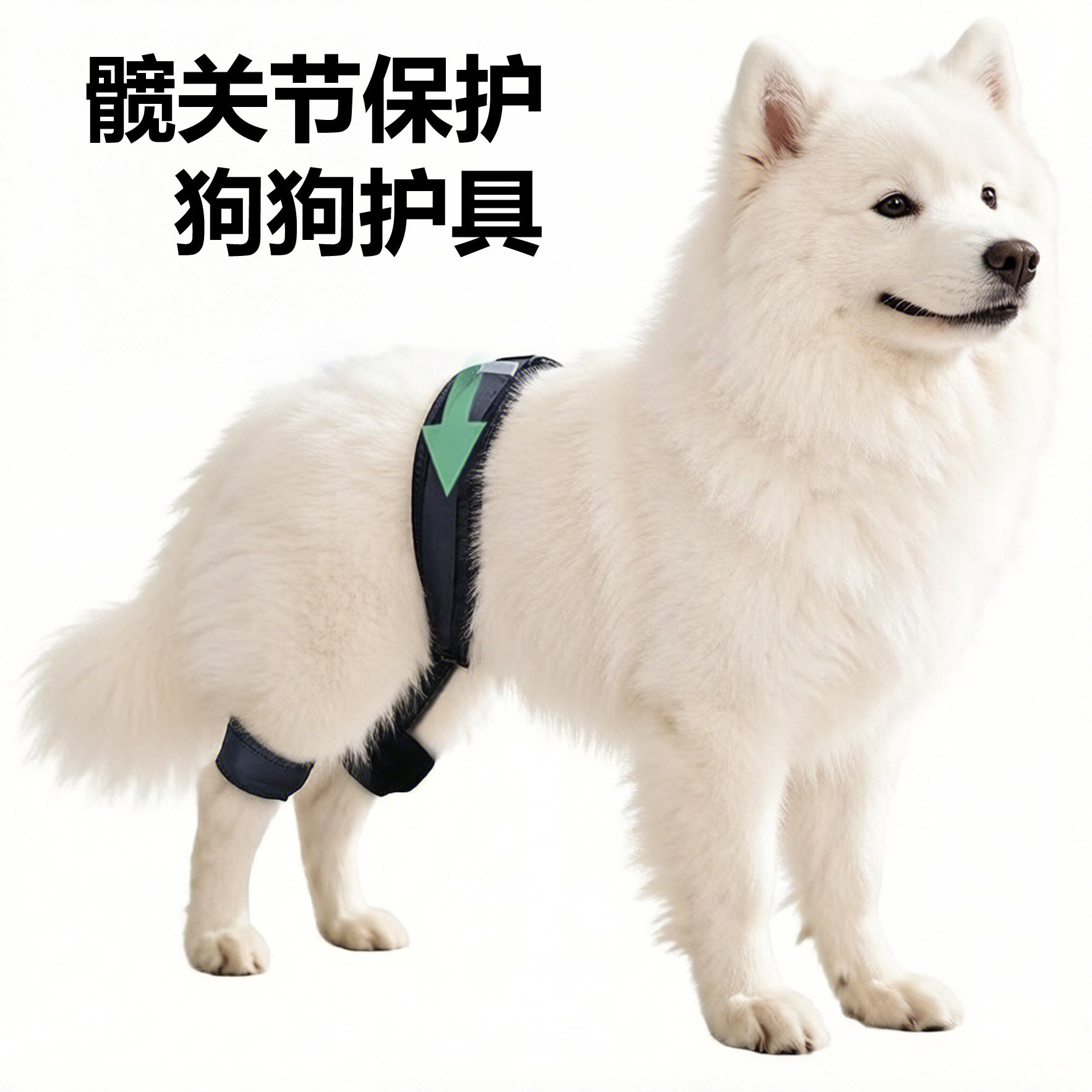 宠物狗髋关节矫正器发育不良支撑带缓解疼痛预防髋关日常护理