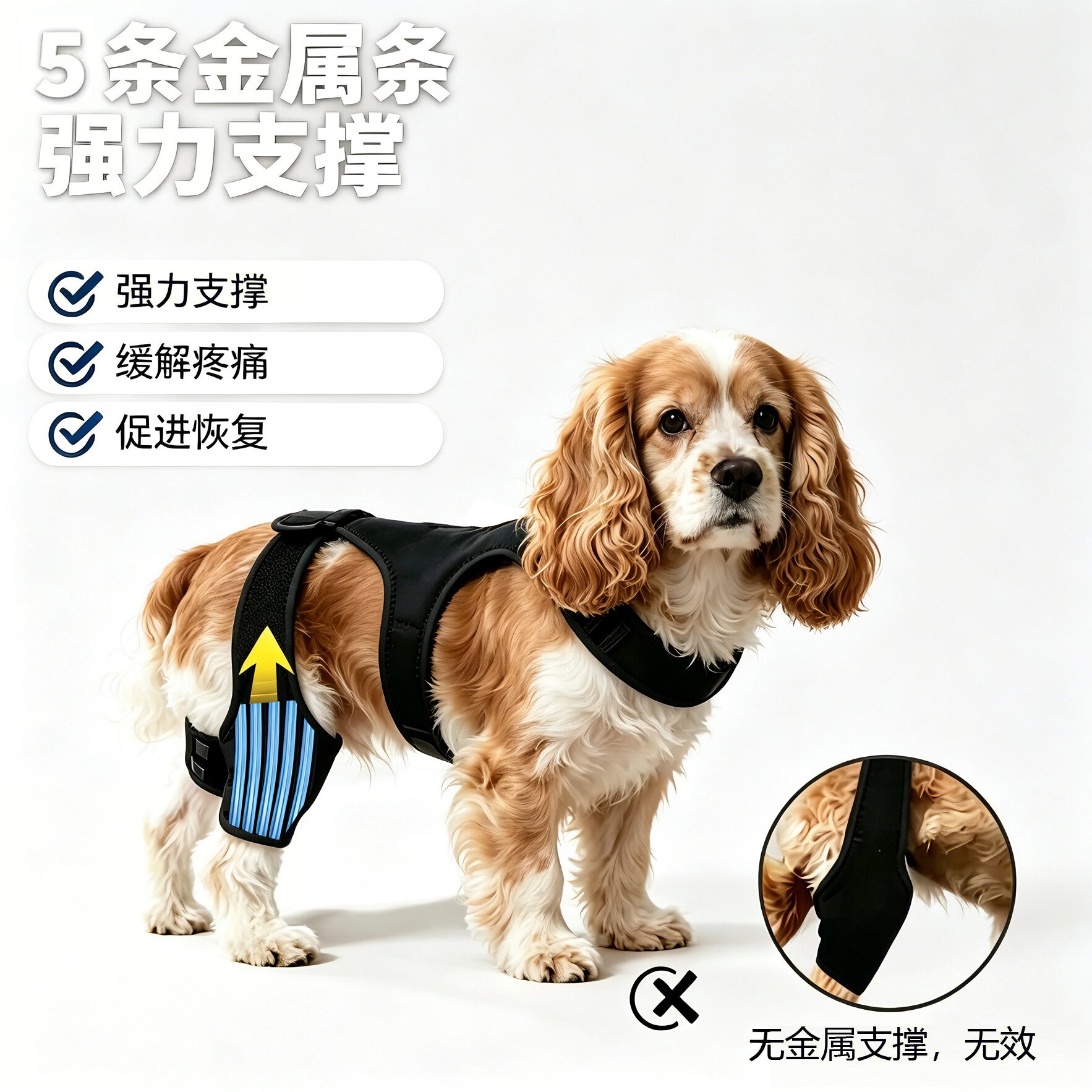 狗狗可卡犬护膝支撑后腿髌骨脱位