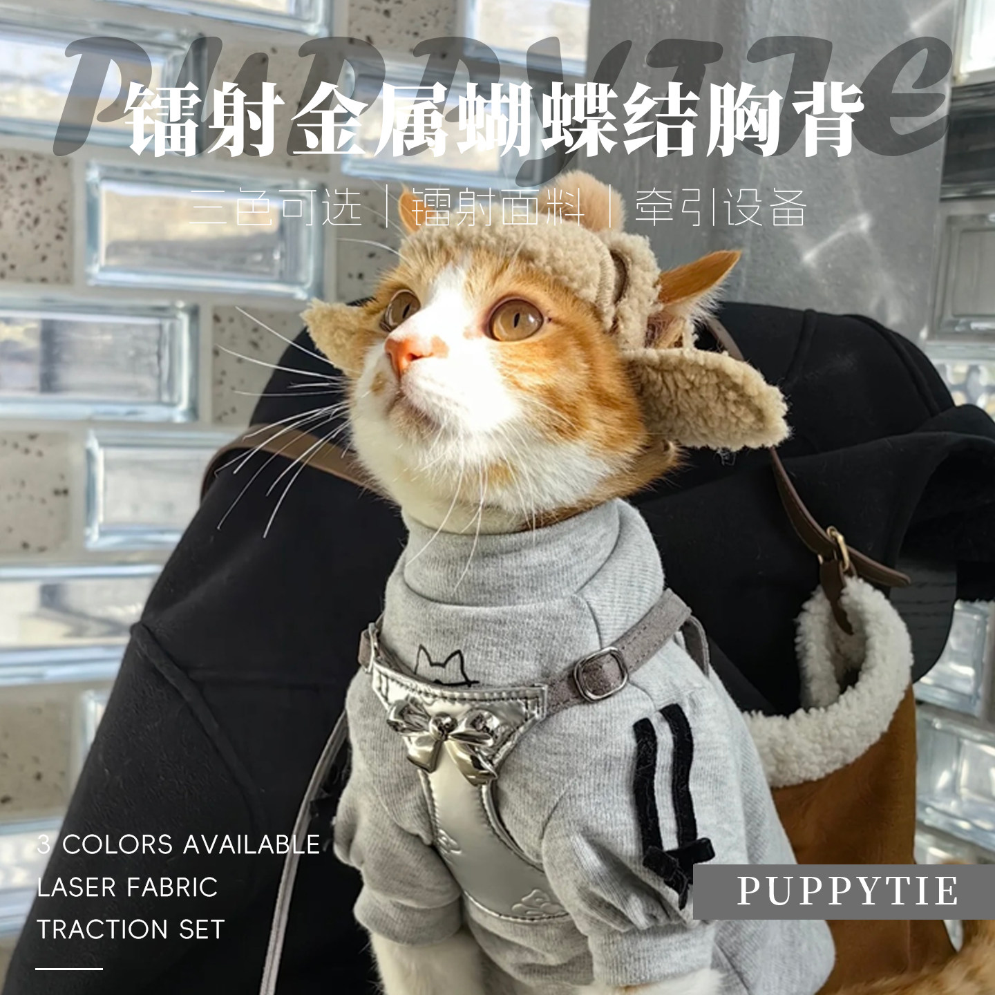 puppytie猫牵引绳背心式外出可调节蝴蝶结胸背带布偶德文遛猫猫绳,宠物/宠物食品及用品,猫牵引绳,淘宝优惠券,粉丝福利购,淘宝优惠卷