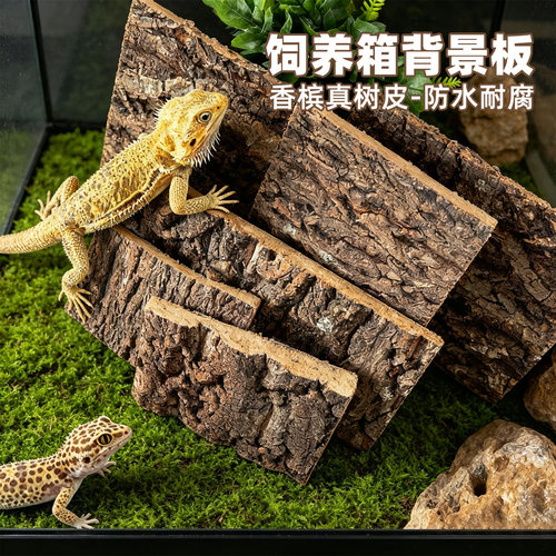 爬宠饲养箱背景板香槟树皮垫材
