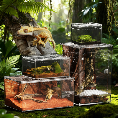 爬宠鬃狮蜥养殖箱大号透明亚克力