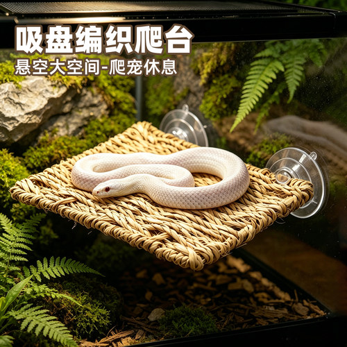 吸盘草编攀爬台爬宠躲避晒台造景