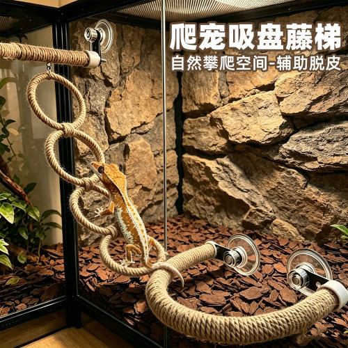 吸盘攀爬梯编织爬宠躲避屋蛇晒台