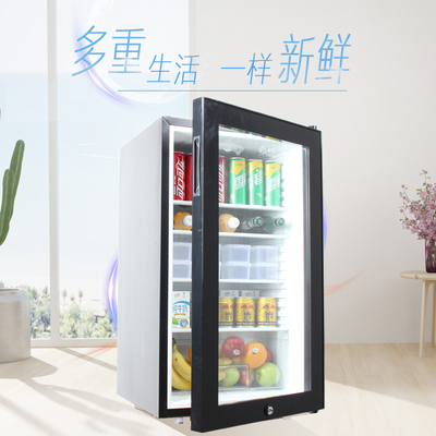 幼儿园食品留样柜饮料冷柜小冰箱小型家用商用冷藏保鲜展示柜带锁