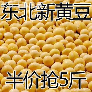 东北新黄豆非转基因大豆打豆浆新鲜发豆芽10g 5斤特价