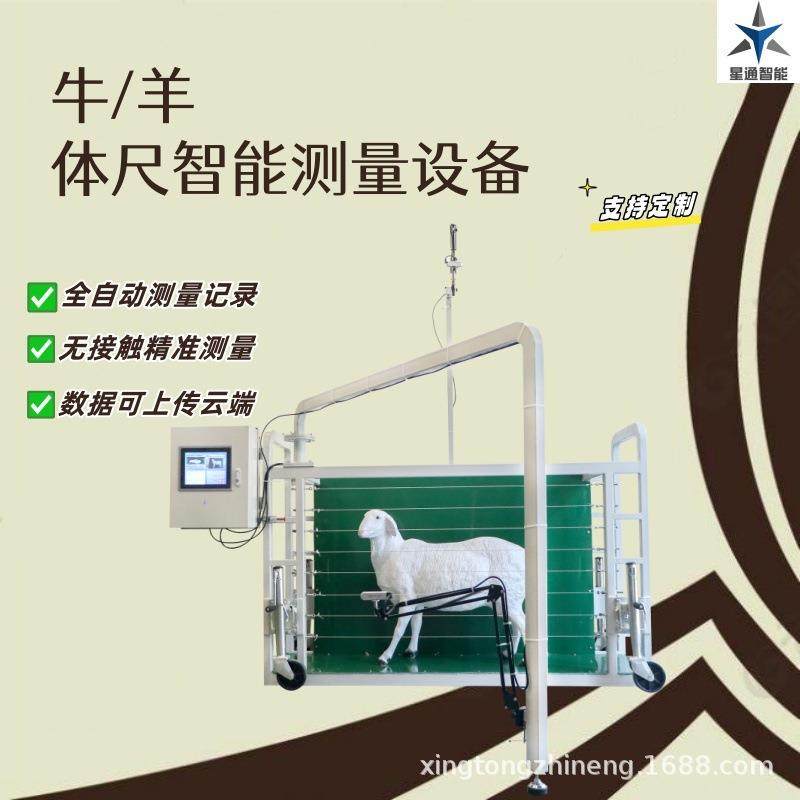 牛羊体尺体廓测量设备精准识别自动保存智慧牧场养殖管理机械