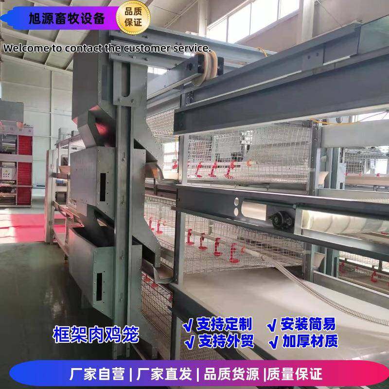 框架肉鸡笼立式层叠养鸡笼镀锌工艺养殖设备全自动喂料清粪,畜牧/养殖物资,特种养殖设备,淘宝优惠券,粉丝福利购,淘宝优惠卷