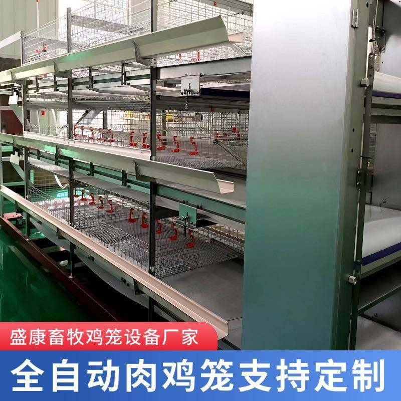 热镀锌鸡笼养殖设备养殖场鸡舍用全自动清粪化多层立式框架肉鸡笼,畜牧/养殖物资,特种养殖设备,淘宝优惠券,粉丝福利购,淘宝优惠卷