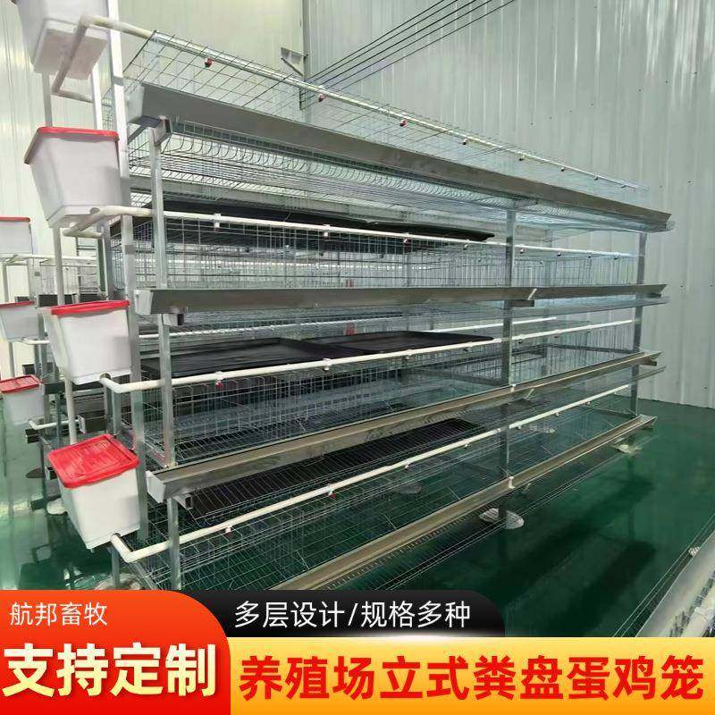 供应立式粪盘蛋鸡笼热镀锌材质三层四层自动清粪养鸡笼肉鸡笼厂家,畜牧/养殖物资,特种养殖设备,淘宝优惠券,粉丝福利购,淘宝优惠卷