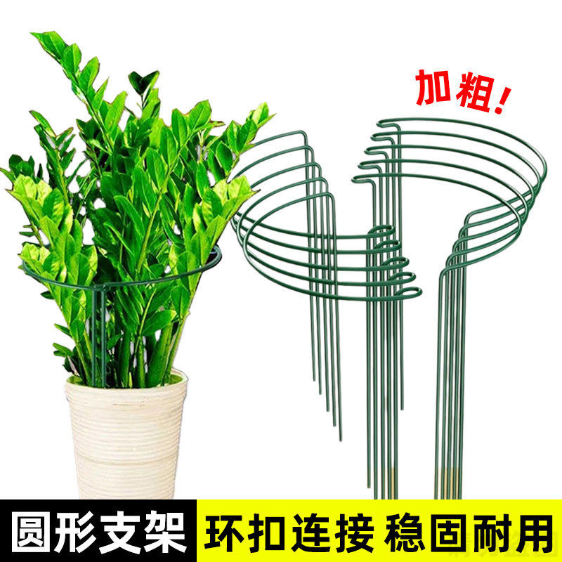 花卉支撑架金钱树植物半圆花支架防倒伏支伸缩杆龟背芋虎皮兰护叶