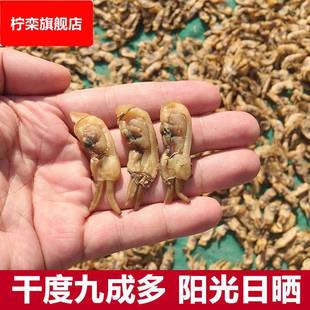 【顺丰包邮】福建东山岛蛏子干蛏子海蛏子竹节蛏海鲜水产干货野生