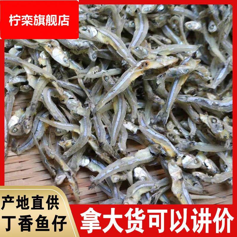 小鱼仔干500g白凡鱼干丁香鱼子海鱼仔干货跑江湖地摊海燕鱼干