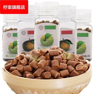陈皮丹话梅丹老鼠屎话梅猴王丹蜜饯儿时怀旧休闲零食一袋20瓶