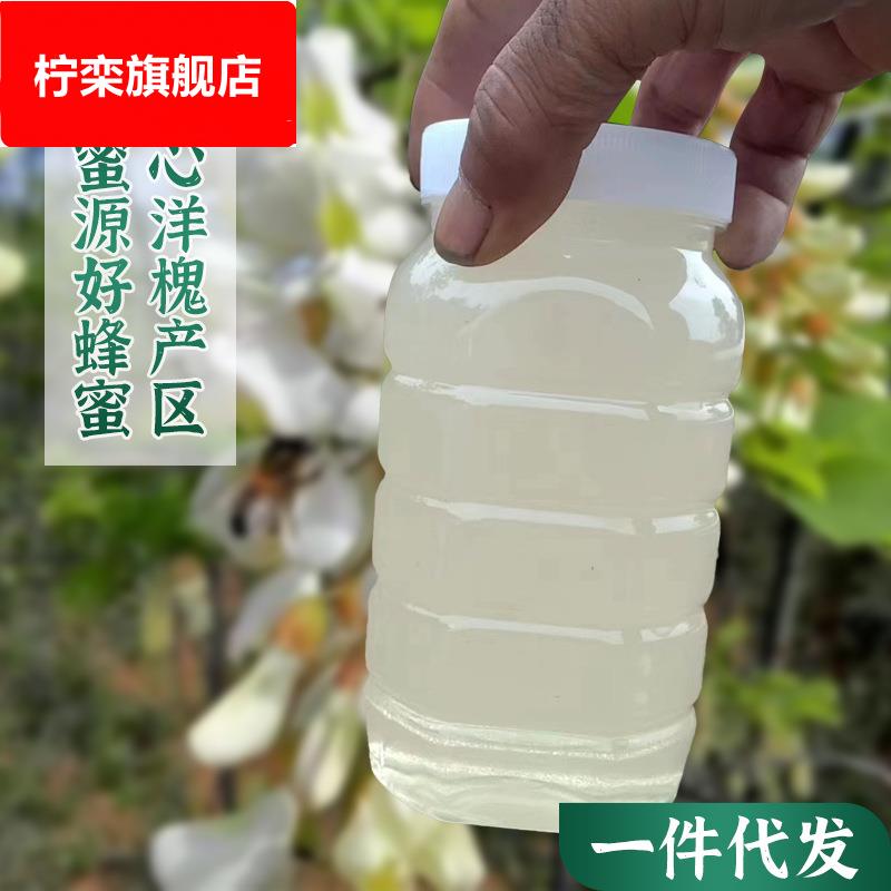 洋槐蜂蜜1000克一瓶装厂价现货农家洋槐峰蜜自产蜂蜜洋槐花蜂蜜批