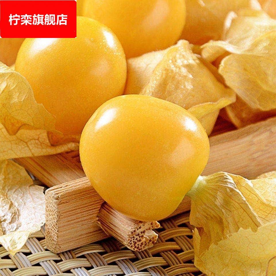 东北姑娘果大果超甜特大号东北黄姑娘水果菇娘新鲜东北特产灯笼果