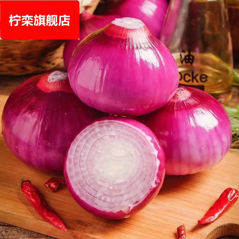 现摘水果洋葱紫皮圆葱新鲜蔬菜农家甜味生吃红洋葱水果包邮