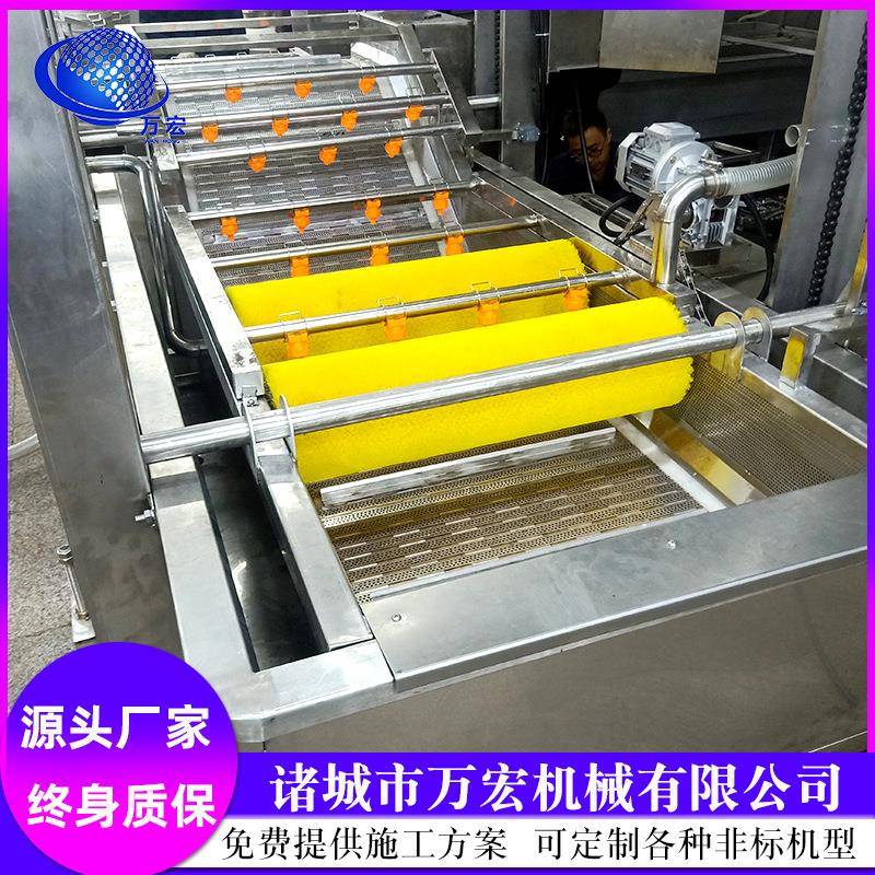 商用水果蔬菜清洗机大枣清洗机全自动气泡清洗机