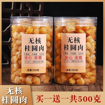 2026年新货特级大果正宗高州桂圆肉肉厚无核龙眼肉干果无添加无硫