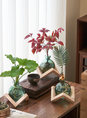 水培植物发财树小盼菩提桌面盆栽净化空气室内摆件办公室绿植花卉