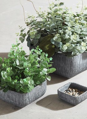 创意简约花卉室内绿萝多肉兰花铜钱草植物方形水培水泥花盆托盘大