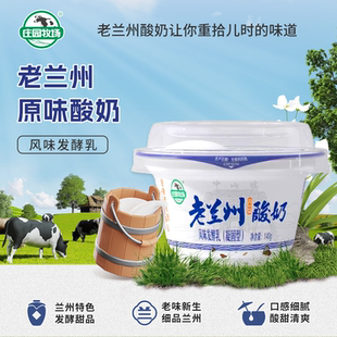 老兰州酸奶原味140g甘肃风味发酵乳饮品营养早餐兰州特产包邮