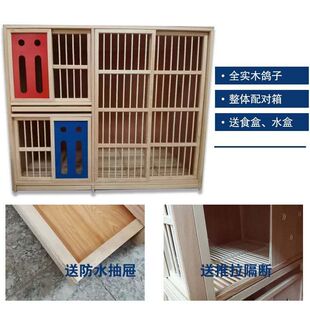 養鴿子籠 配對籠 大型一雄多雌r一配多配對籠家用大型鴿子籠臺式