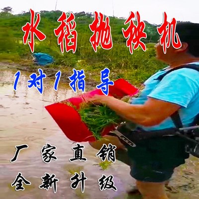 水稻抛秧机抛秧育秧l盘背负式抛秧机人工手抛秧434353稻田抛秧机