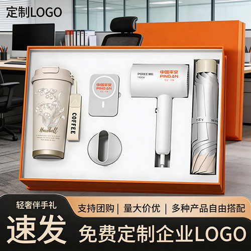 高品质实用伴手礼企业员工礼品