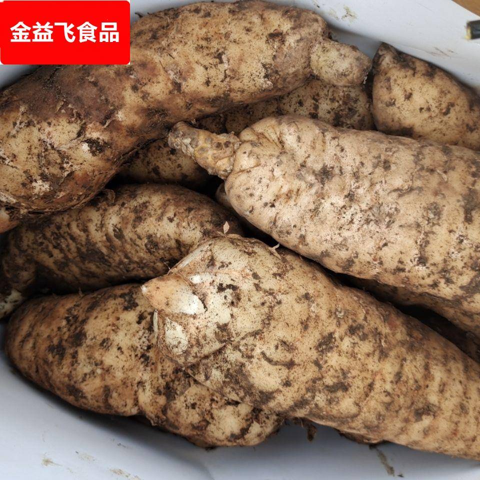贵州省大方县新鲜天麻出山了新鲜现挖当天包邮发货。我们是净重哦