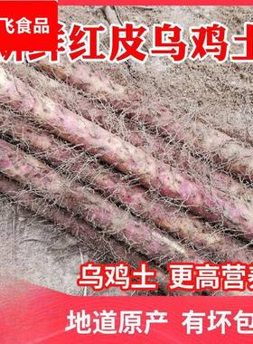 温县铁棍红皮乌鸡土怀山药河南焦作新鲜垆土铁杆淮山约粉糯【15天