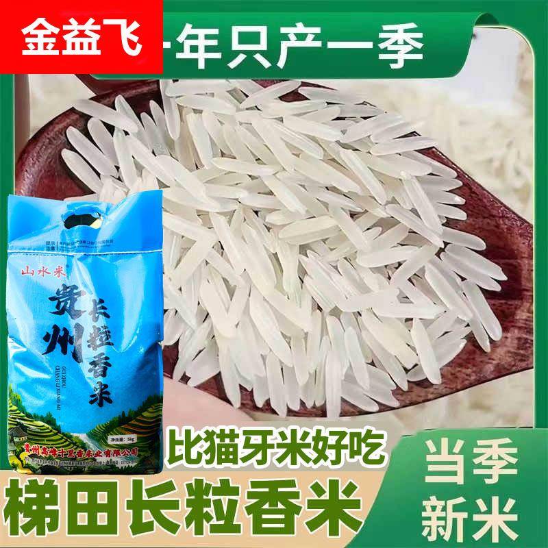 贵州长米梯田长粒香米晚稻农家米自种软米长粒香米细粒优质大米
