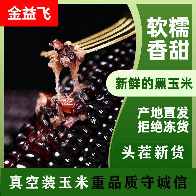 玉米棒甜玉米黑糯玉米整箱根真空包装代餐开袋即食健康食真空锁鲜