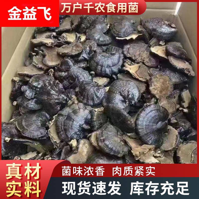黑灵芝山东可切片打粉整朵煲汤酒店送礼干货现货