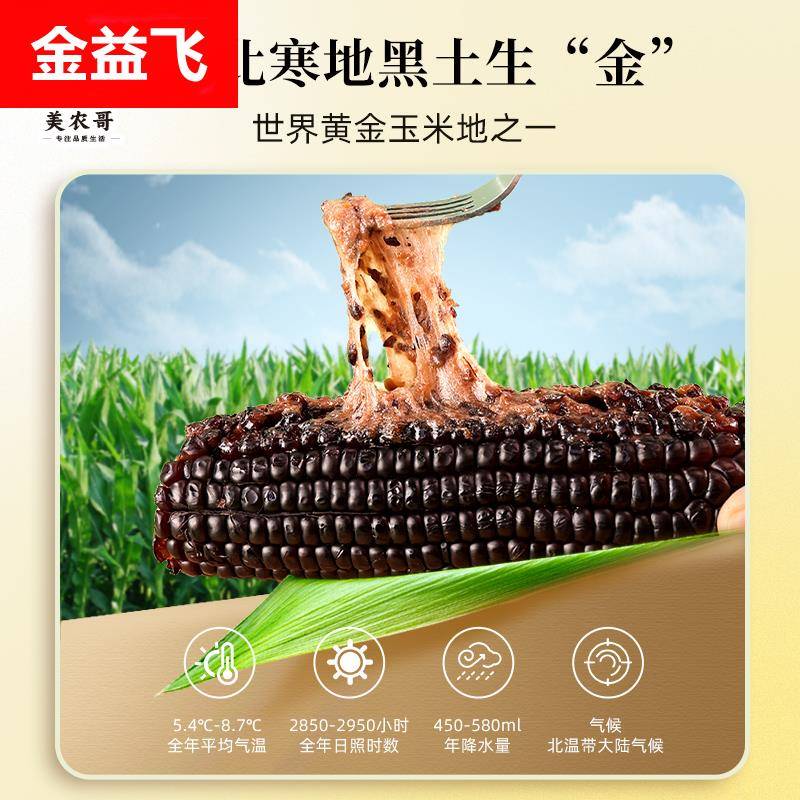 东北黑糯玉米新鲜黑糯玉米棒真空包装黏玉米苞米杂粮早餐真空装