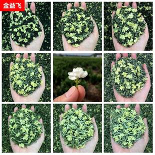 2025年新茶散装四川犍为茉莉花茶叶浓香奶茶专用久窨禹蒙飘雪