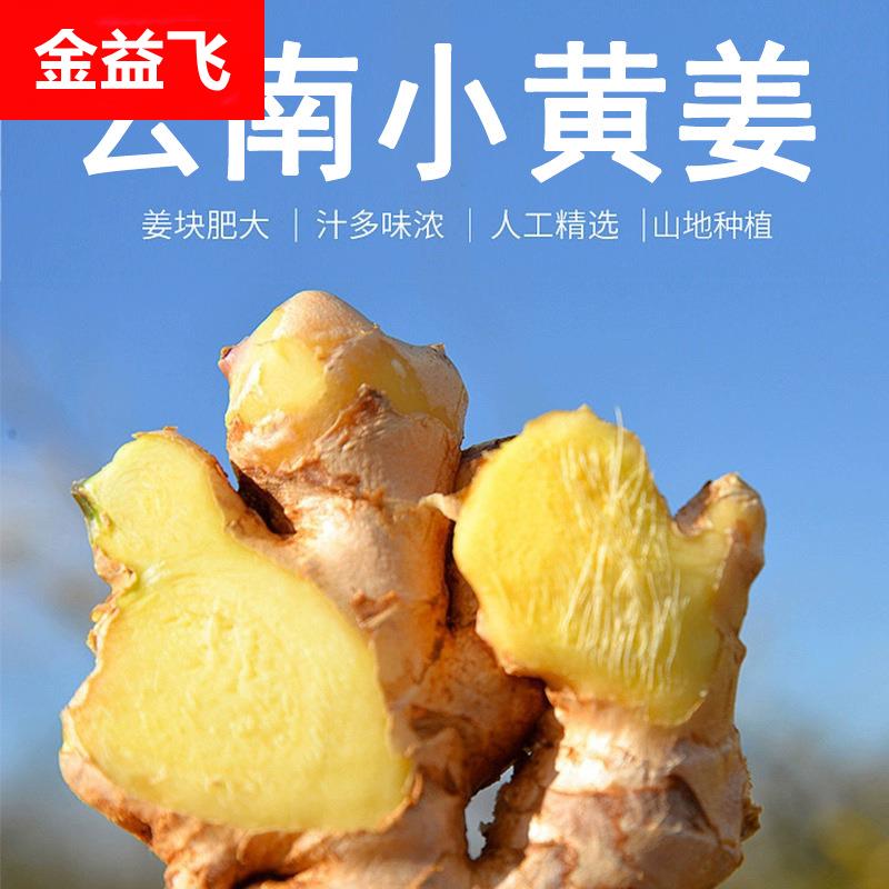 云南富宁小黄姜鲜姜嫩姜月子姜现挖姜整箱现货
