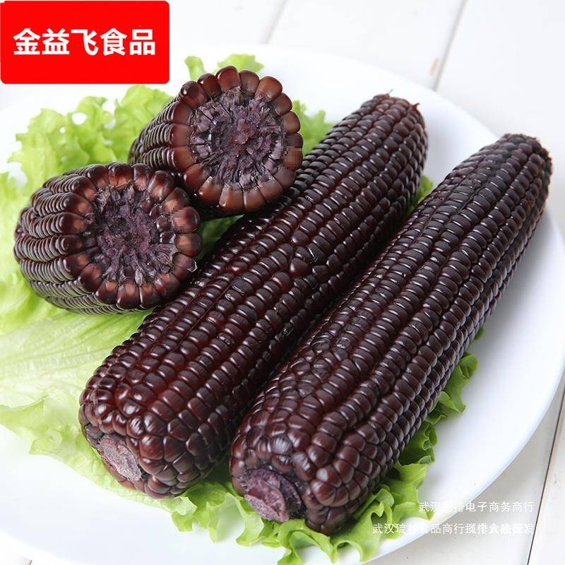 10支东北黑玉米糯玉米真空装包粘甜糯玉米新鲜现摘鲜食玉米苞米