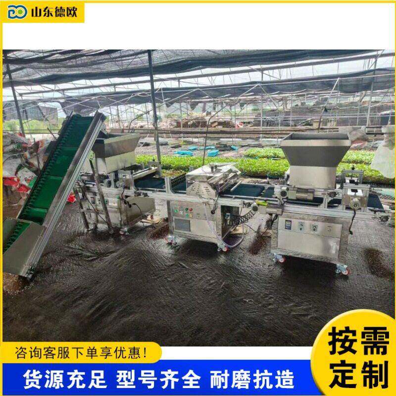 流水线大棚蔬菜点播机 全自动穴盘育苗播种机 花卉种子育苗点籽机