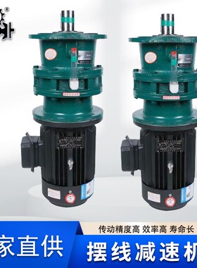 x摆线减速机 双级摆线电机减速机30kw bwed131 摆线针轮减速器