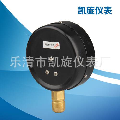 压厂Y100系列家业应  Y100系列压力表 船用力表