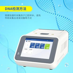 鸽子性别鉴别仪性别测定仪鸽子性别鉴定仪器鸽子公母检测仪