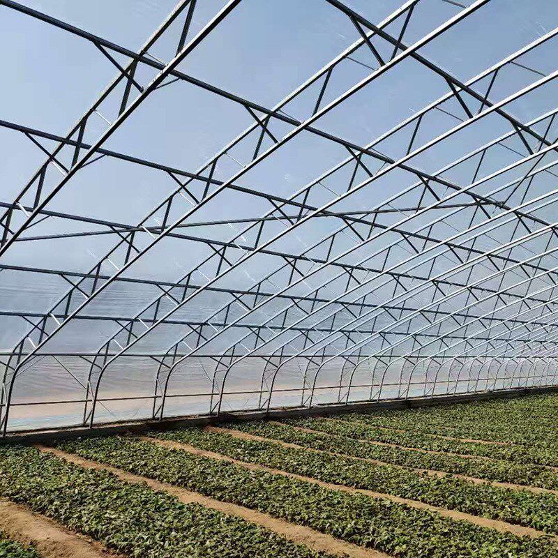 C型钢骨架温室 薄膜日光温室 双膜骨架保温大棚